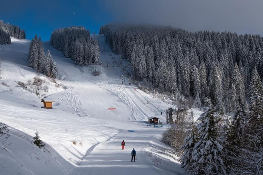 Dans Residence Neuve Le Snow Roc Sur Les Pistes, Grand Studio Cosy 5 Pers Avec Terrasse Panoramique, Sauna, Wifi Saint-Jean-dʼAulps 外观 照片