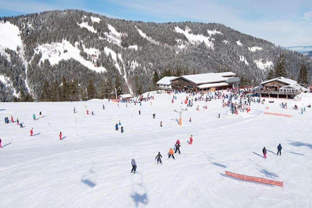Dans Residence Neuve Le Snow Roc Sur Les Pistes, Grand Studio Cosy 5 Pers Avec Terrasse Panoramique, Sauna, Wifi Saint-Jean-dʼAulps 外观 照片